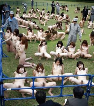 Japanese nudity. Supreme bare ART